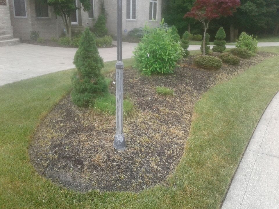 Cleveland Landscaping Before